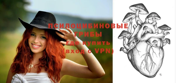 скорость Вяземский
