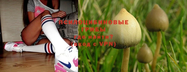 первитин Нягань