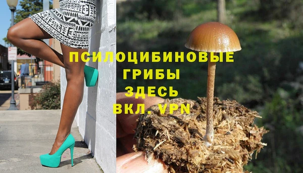 первитин Нягань