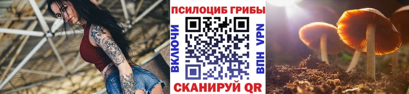 ОМГ ОМГ ТОР  Сарапул  Галлюциногенные грибы Psilocybe 