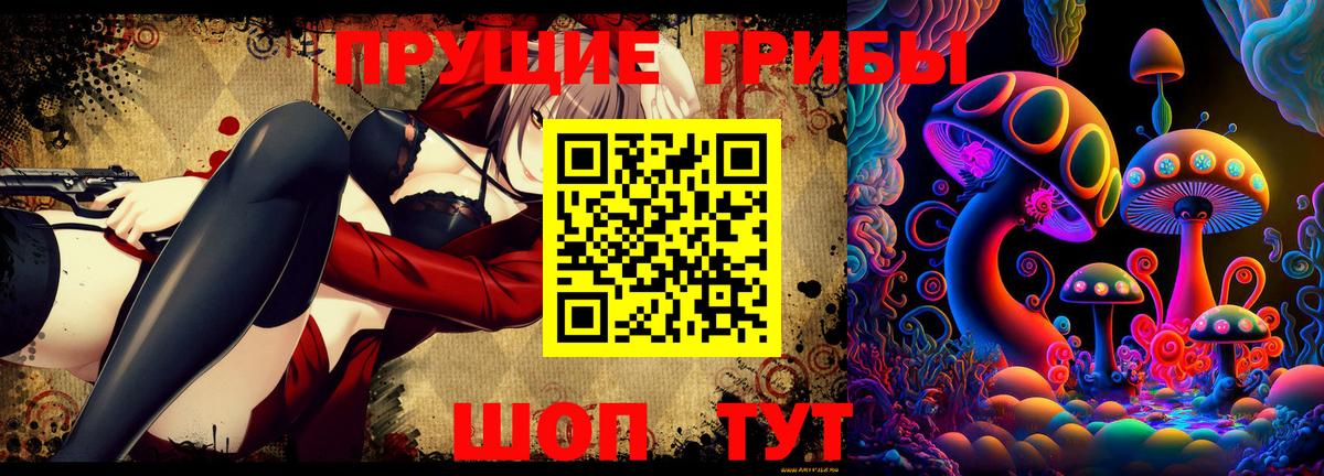 Псилоцибиновые грибы Psilocybe  Вход с VPN  Псилоцибиновые грибы Magic Shrooms  Сарапул 